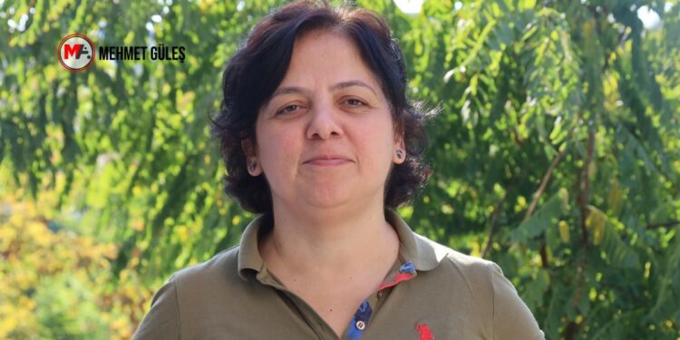 Barış Akademisyeni: Devlet sürece anayasal reformlarla karşılık vermeli