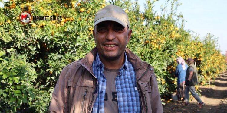 İhraç edilen sağlıkçı 10 yıldır tarlada çalışıyor