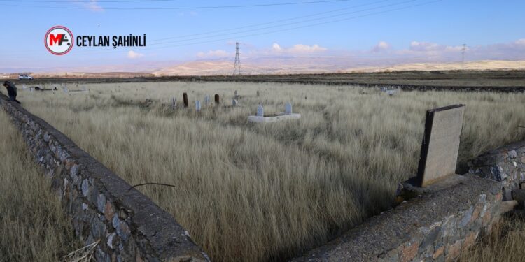 Helebcelilerin kimsesiz mezarlarına Mûş sahip çıkıyor