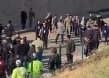 Emniyet  Amiri’nden Cizîr Belediye eşbaşkanlarına tehdit ve darp