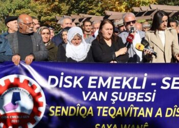 Emekli-Sen’den Rojin için eylem: Failleri bulunsun