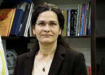 İlham Ahmed: Çözüm konusunda kararlıyız