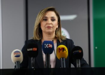 Ayşegül Doğan: İmralı görüşmesinin tutanakları paylaşılsın