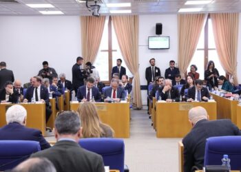 Bütçe görüşmeleri: Agirî'de doktor yok, doğan çocuklar ölüyor