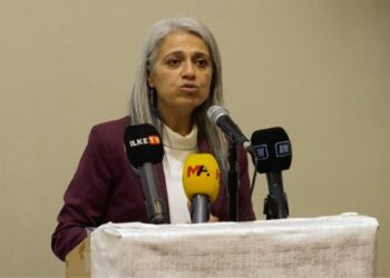 Çiğdem Kılıç Gün Uçar: Dayanışma yetmiyor, sorumluluk almak gerekir