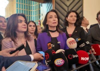 DEM Parti Eş Genel Başkanı: İmralı tutanaklarının açıklanmasını talep edeceğiz