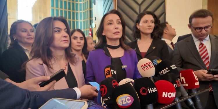 DEM Parti Eş Genel Başkanı: İmralı tutanaklarının açıklanmasını talep edeceğiz