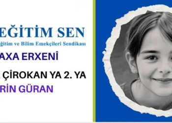 Eğitim Sen’den  Narin Güran Öykü Yarışmasına katılım çağrısı