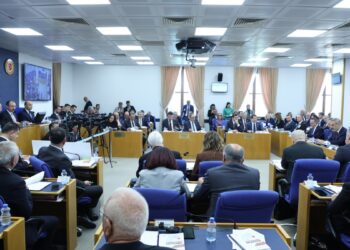 Gelecek Partili Torun: Türkiye Adem-i Merkeziyetçilikten korkmamalı