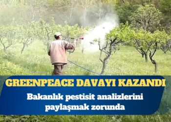 Greenpeace davayı kazandı: Tarım Bakanlığı pestisit analizlerini paylaşmak zorunda
