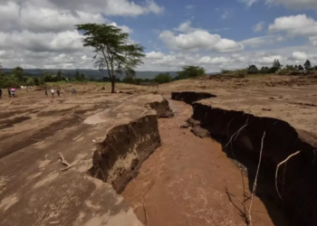 Kenya'da Facia! Toprak Kaymasında 26 Ölü, 25 Kayıp