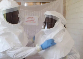 Nijerya'da Lassa ateşi salgını: 2025'te 176 kişi öldü