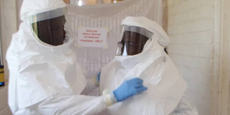 Nijerya'da Lassa ateşi salgını: 2025'te 176 kişi öldü