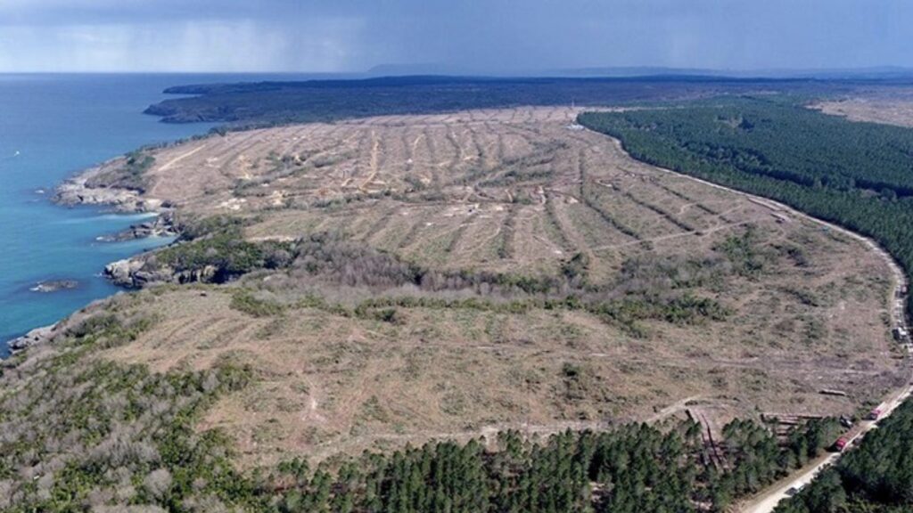 Sinop NGS plan değişikliği davası: Danıştay, ÇED kararını bekleyecek