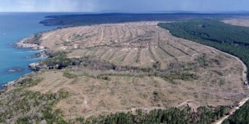 Sinop NGS plan değişikliği davası: Danıştay, ÇED kararını bekleyecek