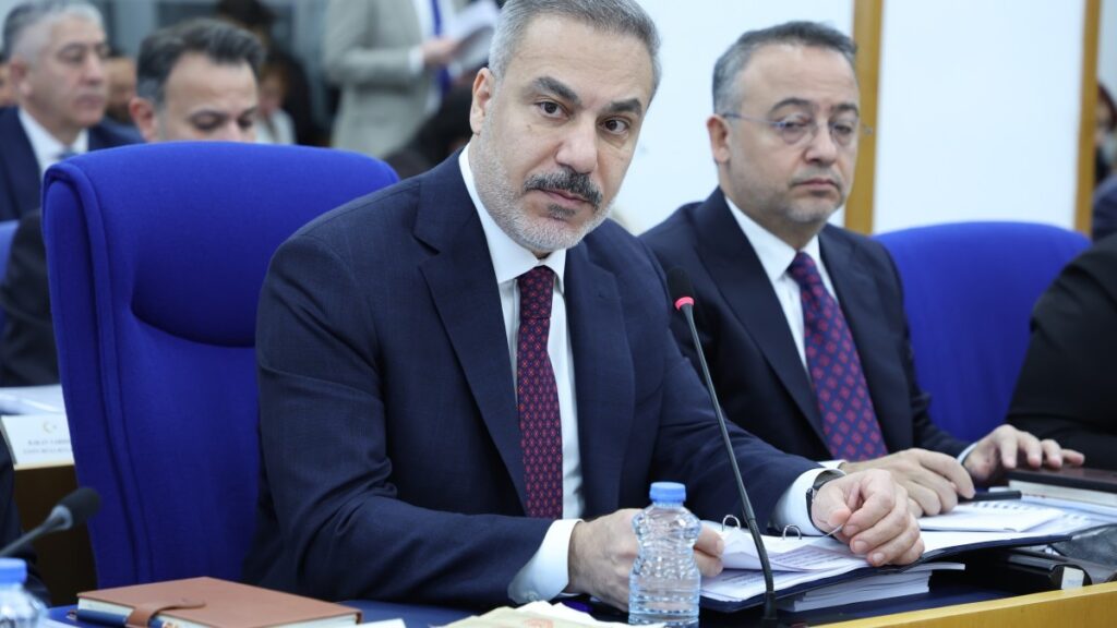 Tanhan'dan Fidan'a: Türkiye'nin Efrîn'deki rolü ne?