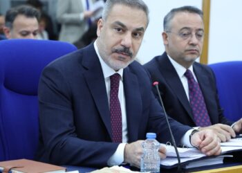 Tanhan'dan Fidan'a: Türkiye'nin Efrîn'deki rolü ne?