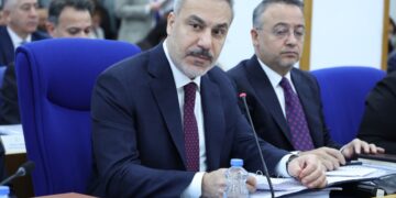 Tanhan'dan Fidan'a: Türkiye'nin Efrîn'deki rolü ne?