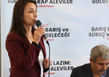 Tülay Hatimoğulları: Süreç devletle yürütülen bir süreçtir