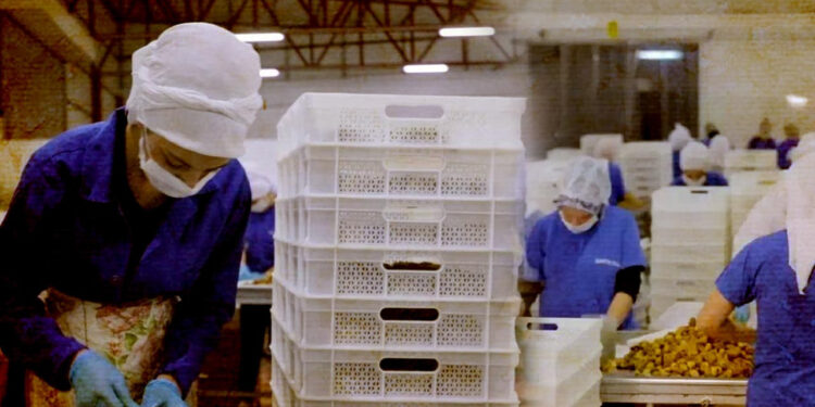 Türkiye’nin Gıda Devi İflasın Pençesinde! Yarım Asırlık Marka Krizde