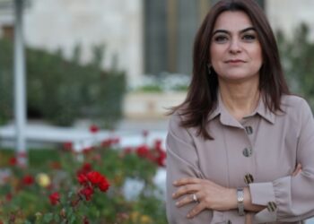 İmralı görüşmesini anlattı: Bir güç orduya katılacak, diğer güç asayişi sağlayacak