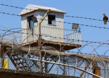 Aykol’a mektup: Bizim dünyamızda en çok sen varsın