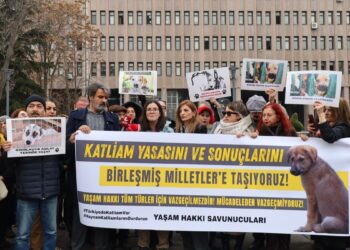 Katliam Yasası’nın durdurulması için BM’ye başvuru yapılacak