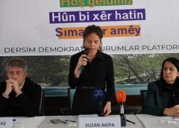 Arkaş: Demokratik cumhuriyete entegreye varız