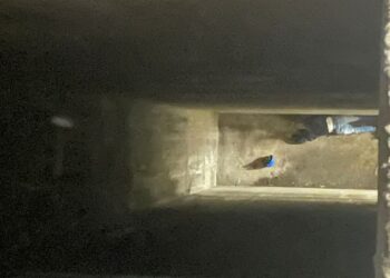 DSİ barajında çalışan işçi yüksekten düşerek hayatını kaybetti