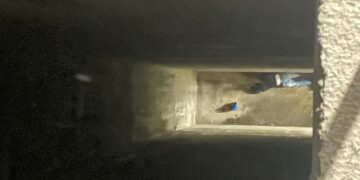 DSİ barajında çalışan işçi yüksekten düşerek hayatını kaybetti