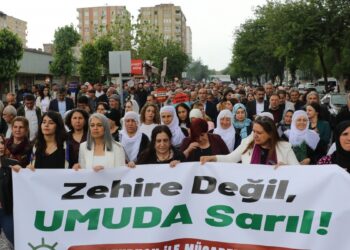 Kürt mahallelerinde çete yapılanmaları