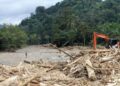 Sel sonrası Endonezya’dan ‘orman ruhsatı’ hamlesi