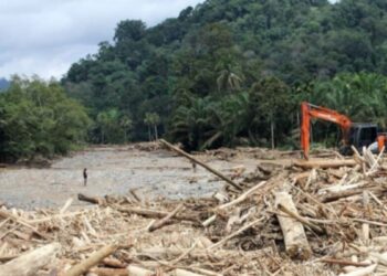 Sel sonrası Endonezya’dan ‘orman ruhsatı’ hamlesi