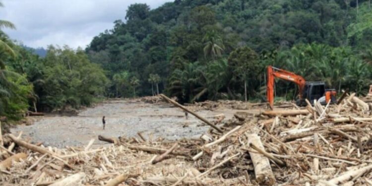 Sel sonrası Endonezya’dan ‘orman ruhsatı’ hamlesi