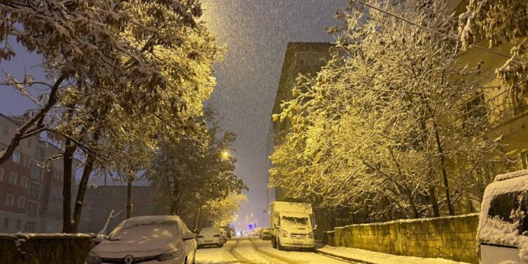 Mûş beyaza büründü