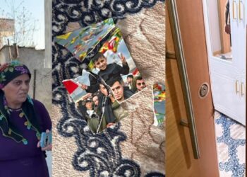 Ev baskınında Kürtçe konuşan anne darp edildi