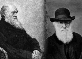 200 Yıl Sonra Geri Döndü: Darwin’den Günümüze Uzanan Gizem! Floreana’da Ortaya Çıktı