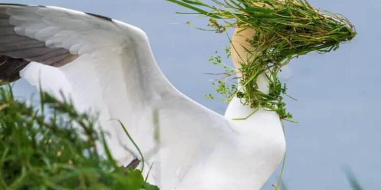 2025’in en komik hayvan fotoğrafları: Çak bir beşlik