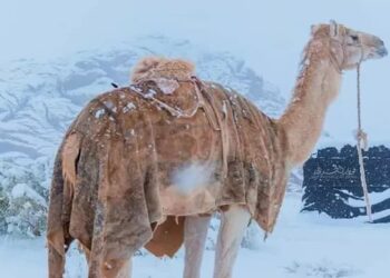 30 yıl sonra Suudi Arabistan’a kar yağdı