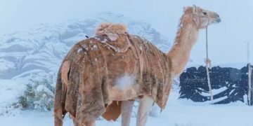 30 yıl sonra Suudi Arabistan’a kar yağdı