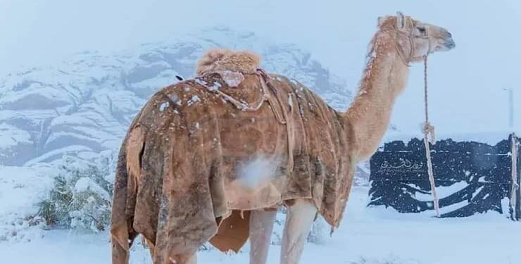 30 yıl sonra Suudi Arabistan’a kar yağdı