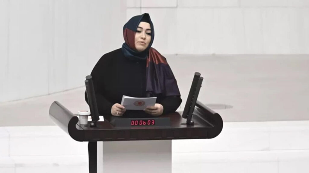 AK Partili Sena Nur Çelik Kanat Meclis'te Konuştu: 'Hafızasına Hükmedemedikleri Milleti Esir Alamazlar'