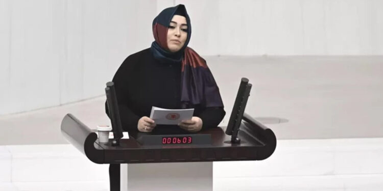 AK Partili Sena Nur Çelik Kanat Meclis'te Konuştu: 'Hafızasına Hükmedemedikleri Milleti Esir Alamazlar'