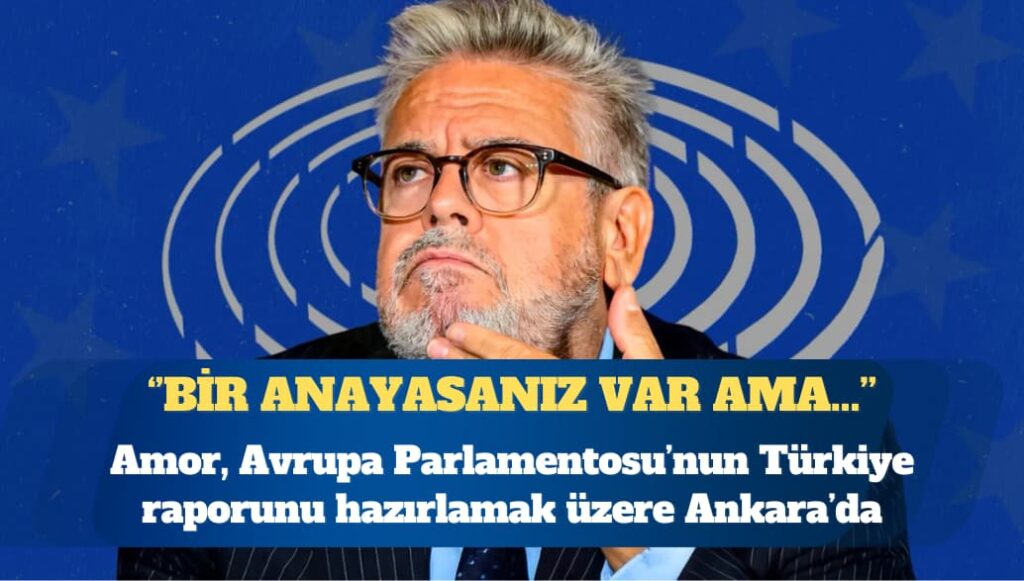 AP Türkiye Raportörü: Bir anayasanız var ama yarı yarıya uygulanıyor