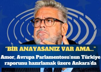 AP Türkiye Raportörü: Bir anayasanız var ama yarı yarıya uygulanıyor