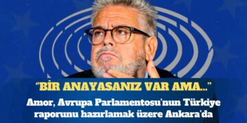 AP Türkiye Raportörü: Bir anayasanız var ama yarı yarıya uygulanıyor