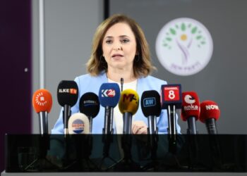 Ayşegül Doğan: Türkiye Suriye’de yapıcı rol oynamalı