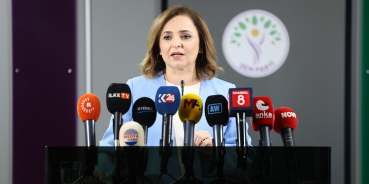 Ayşegül Doğan: Türkiye Suriye’de yapıcı rol oynamalı