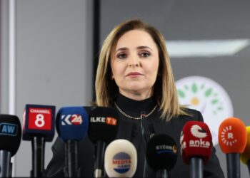 Ayşegül Doğan: Tutanaklar açık biçimde okunmalıdır