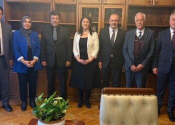 DEM Parti ve AKP milletvekilleri Wan’ın sorunları için bir araya geldi